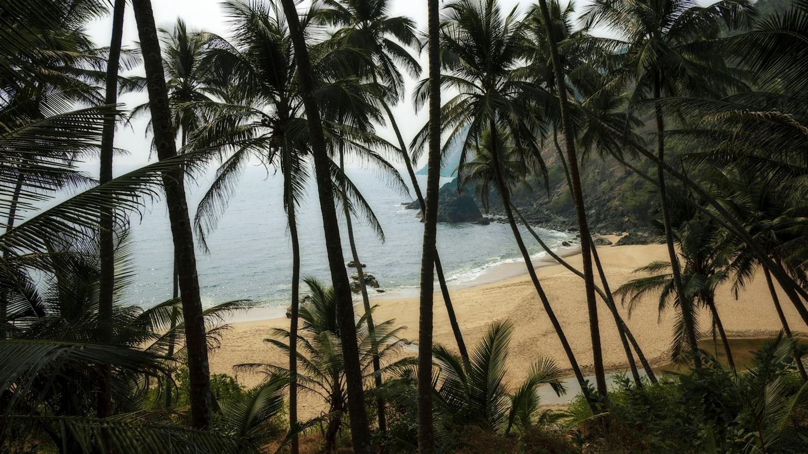 Getting to North Goa: airport, taxi or self-drive?