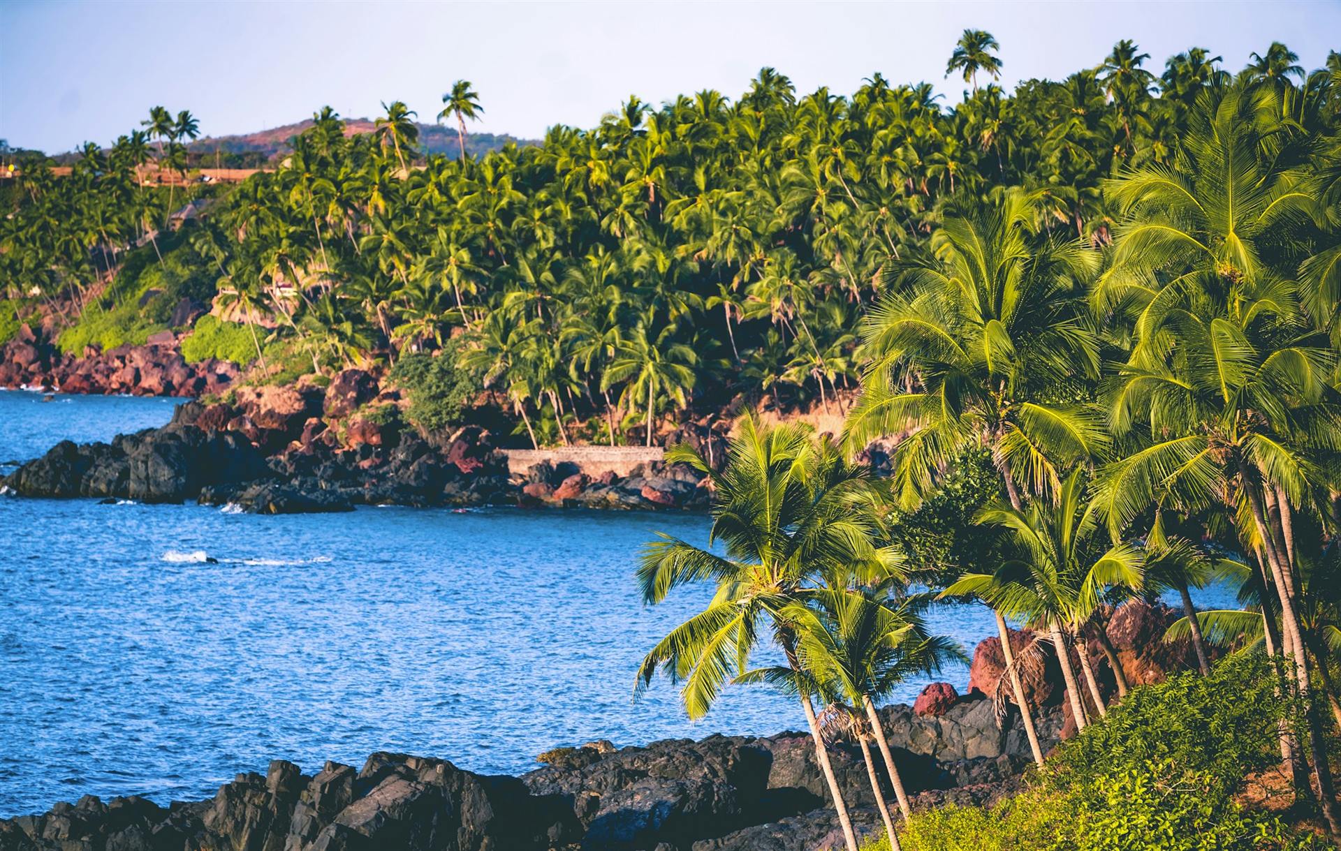 Goa