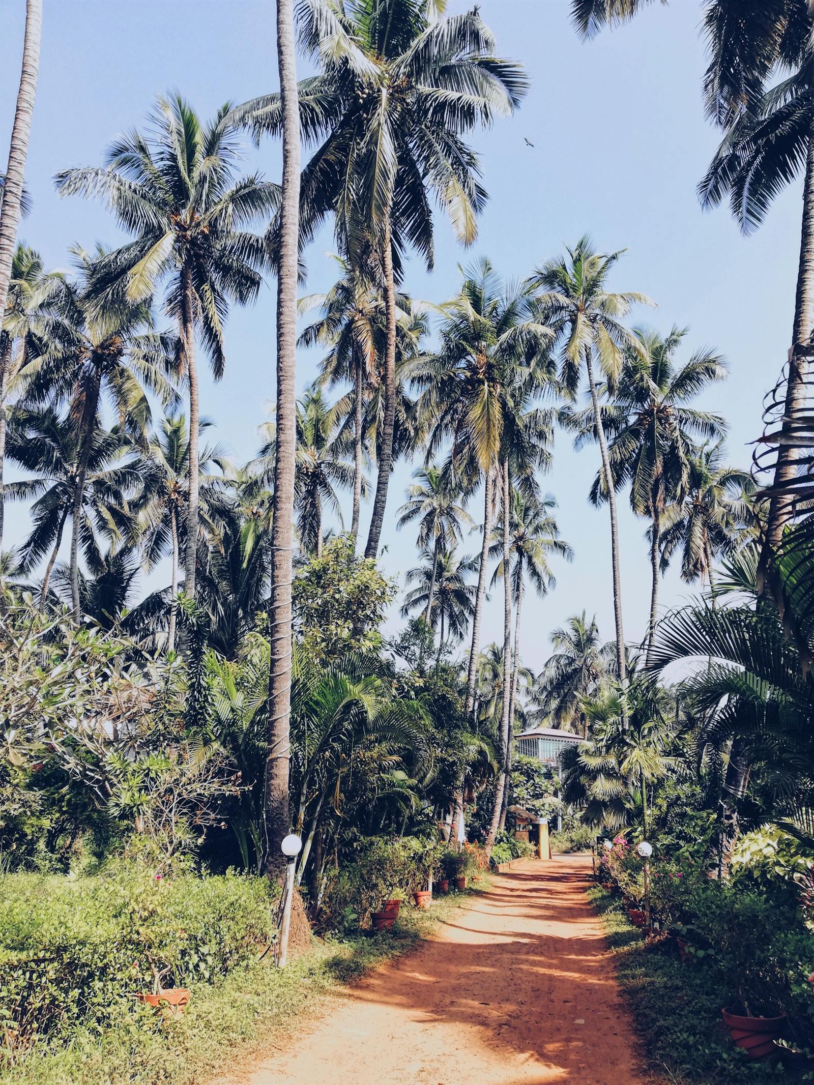 A slow weekend in Assagao: where to eat, walk and swim